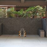 カワラナの外観