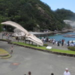 シロナガスクジラ標本