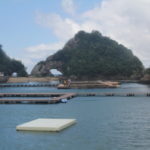 クジラショー会場