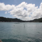 国道42号線の景色