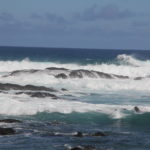 国道42号線の景色