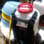 バラの水やり体験