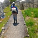 バラの水やり体験