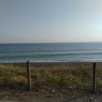 茅ヶ崎市の海岸沿い