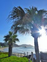 糸島100kmウォーク