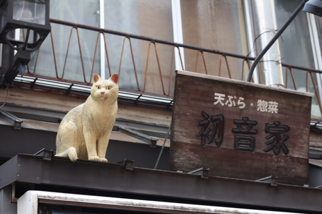 谷中銀座の猫
