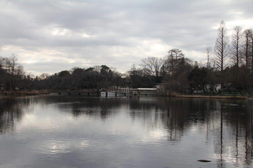 井の頭公園
