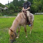 クリオステーブル・乗馬体験