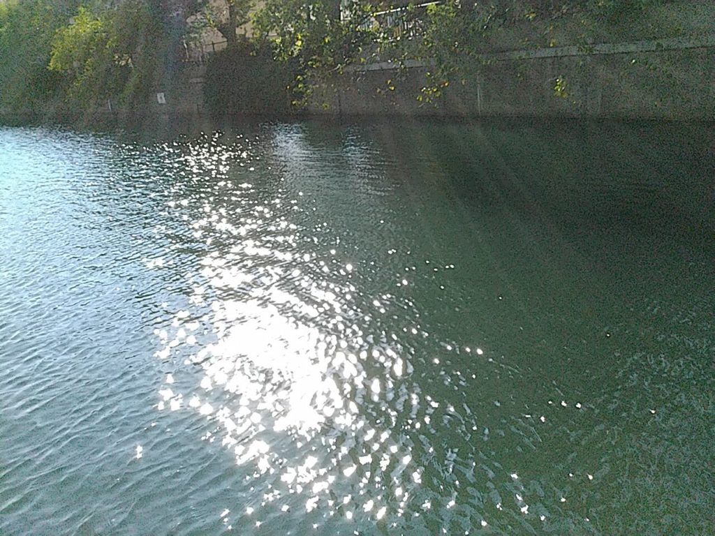 日差しの当たる川面