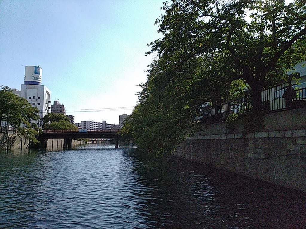 川の上から見る景色